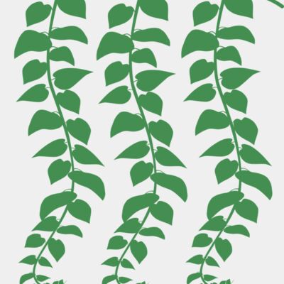 Hanging Plants Thumbnail